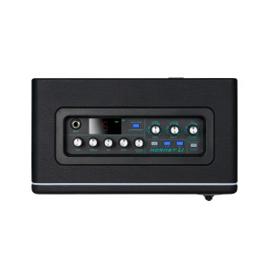 Ampli Hornet Black Li 15W