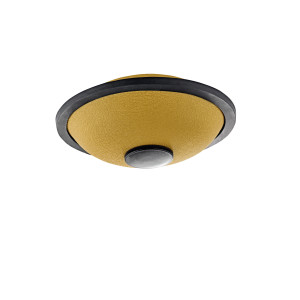 Mini Tongue Sonic Energy Si Majeur Or