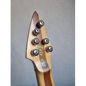 Luthier Electric Guitar