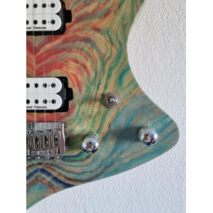 Luthier Electric Guitar