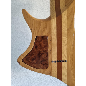 Luthier Electric Guitar