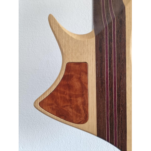 Guitarra eléctrica Luthier