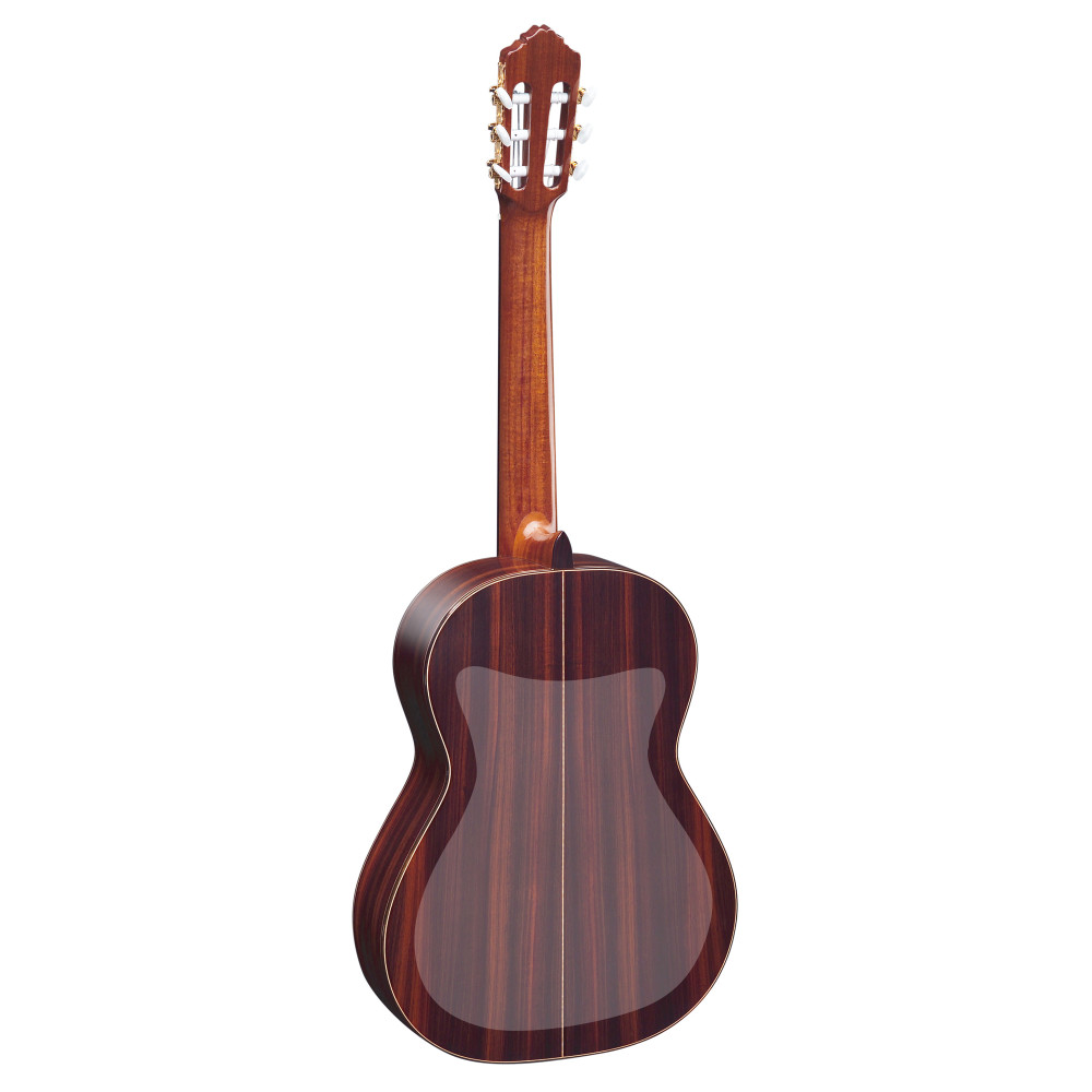 Ortega Back Protector Film, Transparent