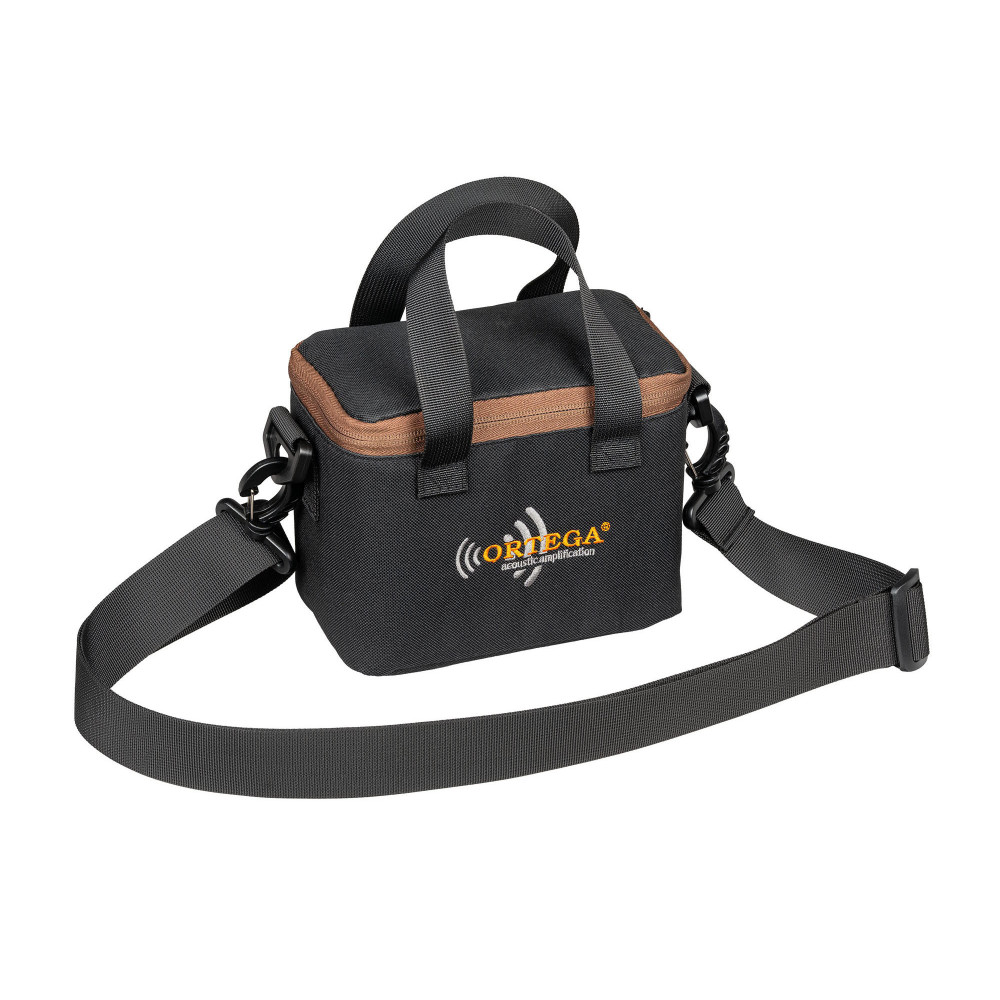 Funda para amplificador Ptwo