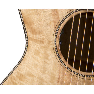 Breedlove Oregon Concert Thinline Ce Mw
