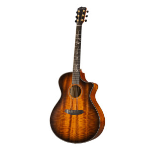 Breedlove Oregon Concerto Jeff Bridges