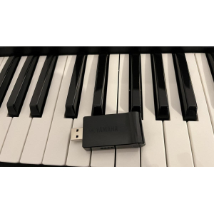 Yamaha PSR SX900 + Jamo A30Sub