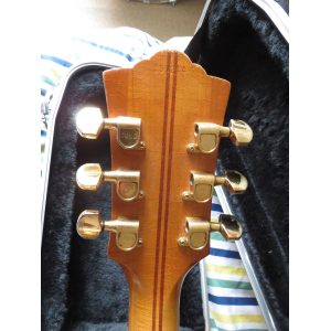 Guild X 500 from 1977