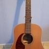 Seagull (Godin) Coastline 12 Cedar (left-handed)