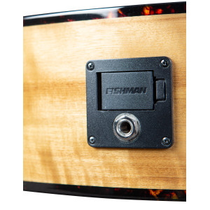 Breedlove Pursuit Ex S Concert Ce Sweetg