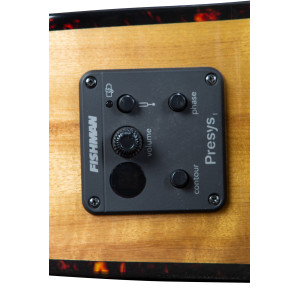 Breedlove Pursuit Ex S Concert Ce Sweetg