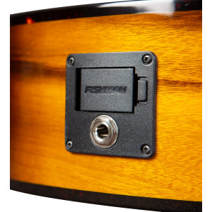 Breedlove Pursuit Ex S Concert Ce Tiger