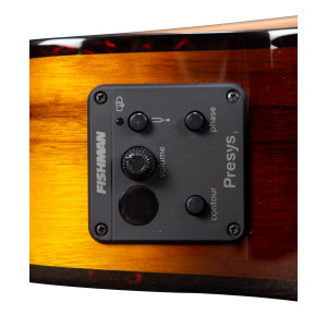 Breedlove Pursuit Ex S Concert Ce Tiger