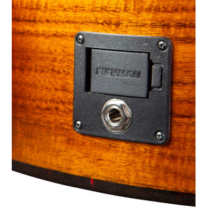 Breedlove Pursuit Ex S Concert Ce Koa