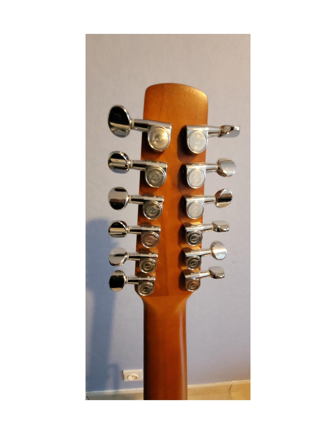 Seagull (Godin) Coastline 12 Cedar (left-handed)