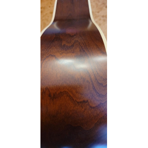Seagull (Godin) Coastline 12 Cedar (left-handed)