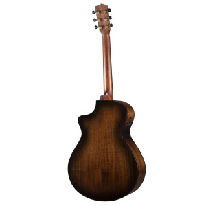 Breedlove Performer Pro Concerto Ce