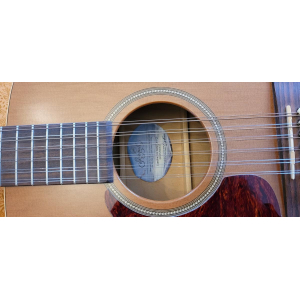 Seagull (Godin) Coastline 12 Cedar (left-handed)
