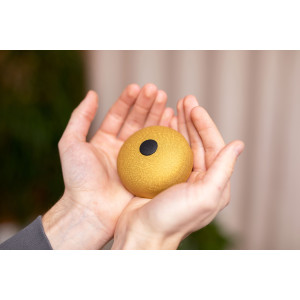 Pocket Steel Tongue Sonic Gold