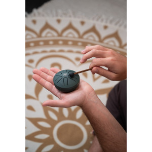 Pocket Steel Tongue Sonic, Vert