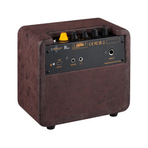 Ortega 12W amplifier