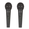 Pack 2 Micros Dyn Peavey Pvi 100