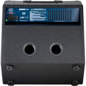 Amplificador de bajo Laney Richter 65w/1x12"