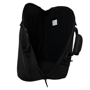 Ritter Bern 4 Horn Case