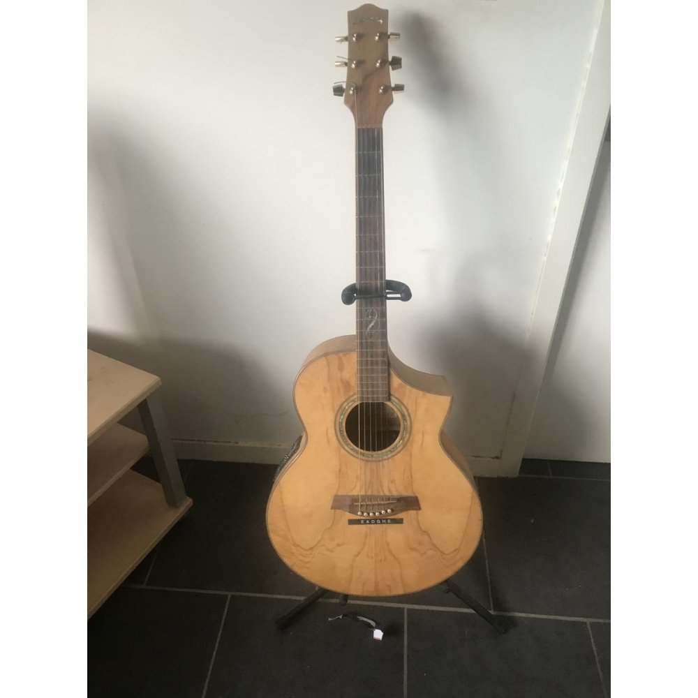 Ibanez Electro Acoustic Guitar