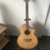 Ibanez Electro Acoustic Guitar