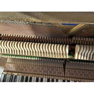 Pleyel Study Acoustic Piano - Light Purple White