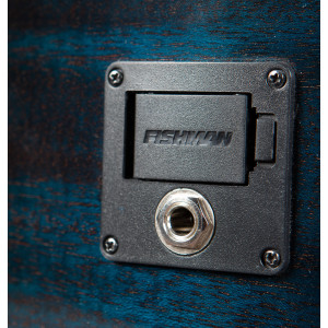 Breedlove Rainforest S Concert Ce Pap