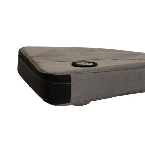 Ritter El Flying V Grey Cover