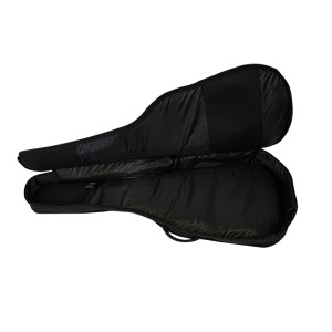 Ritter Classic 4/4 Black Cover