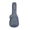 Ritter Auditorium Folk Grey Case