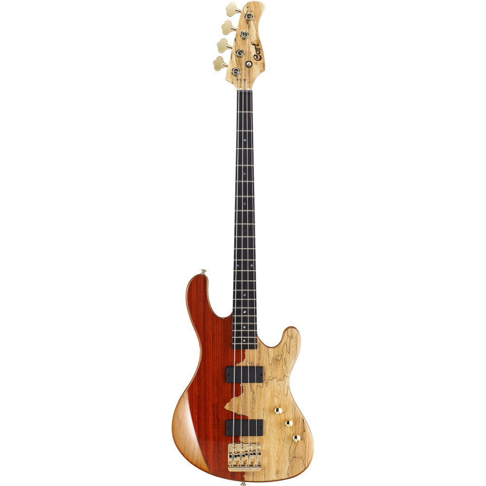 Basse Cort Rithimic Jeff Berlin 4c Nat