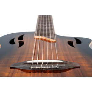 Guitarra Ortega Tourplayer Deluxe Ny Acac