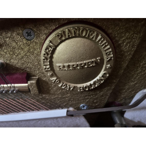 Rippen Piano vertical