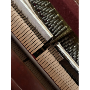 Rippen Piano vertical