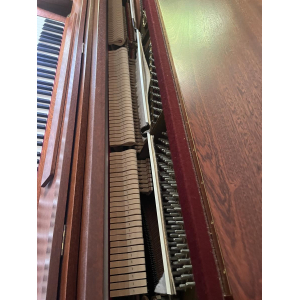 Rippen Piano vertical