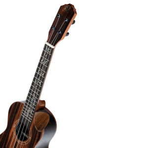 Ukulele Concert Ortega, Elite Ebene