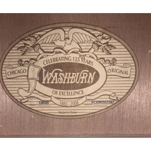 Washburn Acoustic Folk Guitar - Like New Condition