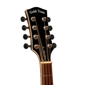 Gold Tone Mandocello