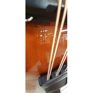 Gold Tone Mandocello