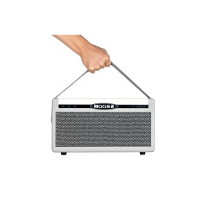 Mooer Sd30i 30W 2x4" White Amp