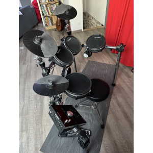 Alesis Electronic Drum Kit