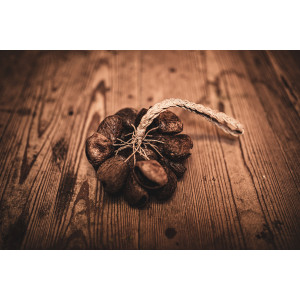 Pangi Shaker Sonic Energy