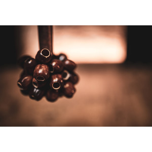 Pala Rod Shaker Sonic Energy