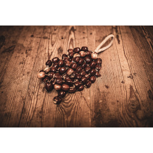 Pala Shaker Sonic Energy L