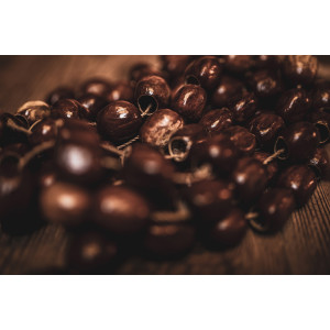 Pala Shaker Sonic Energy L